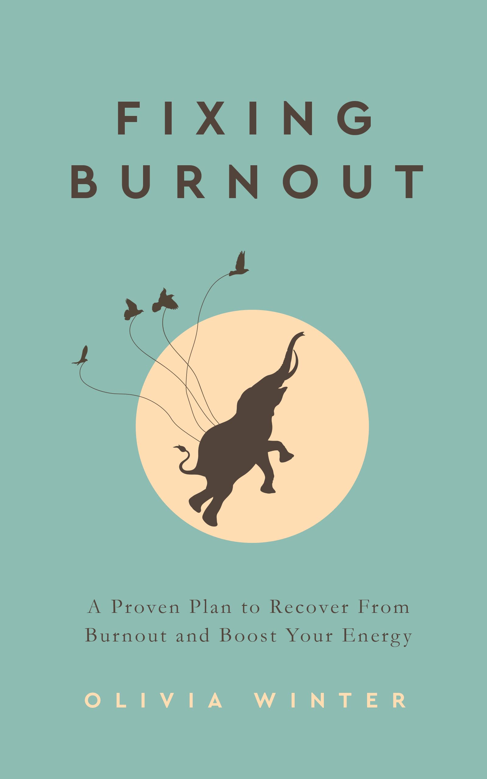 Book cover for Fixing Burnout