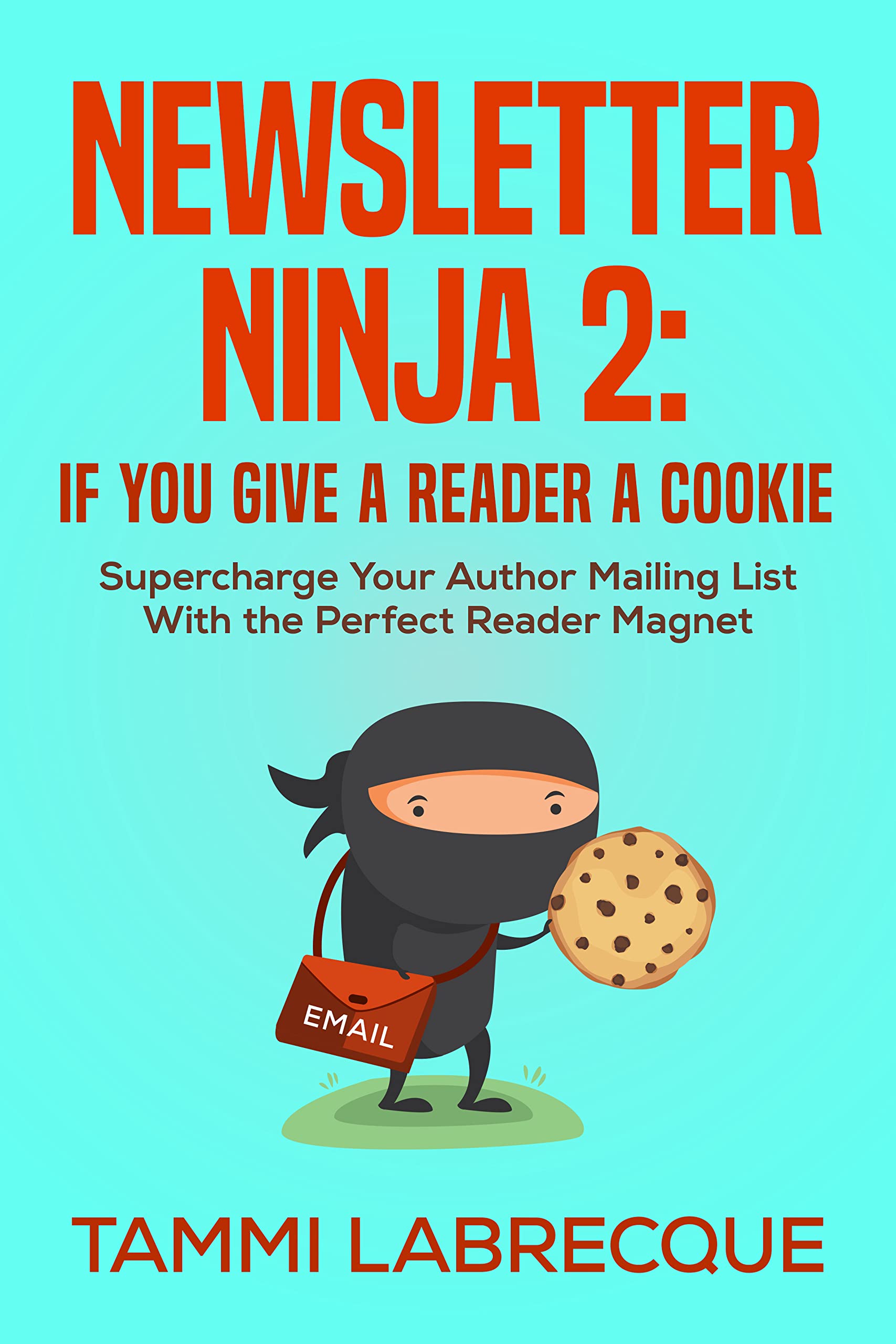 Book cover for Newsletter Ninja 2