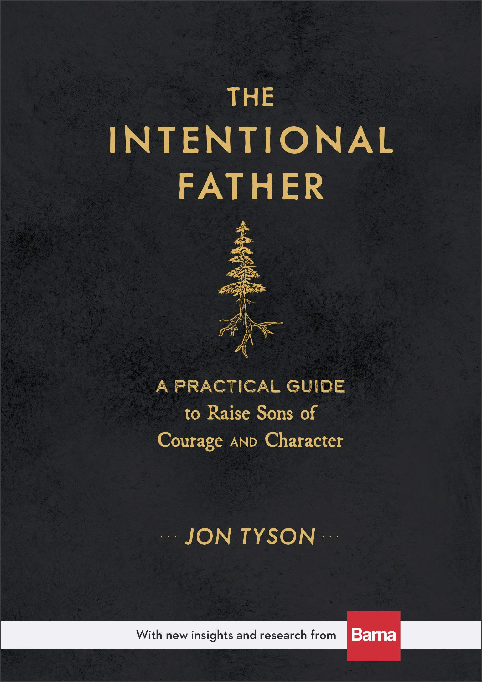 Book cover for The Intentional Father