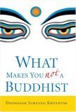Book cover for What Makes You Not a Buddhist